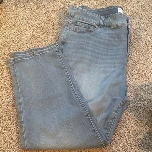 Lane Bryant Women's Straight Leg Jeans - Blue